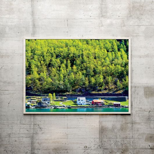 Norway Forest Wall Art Print • Made Wanderful